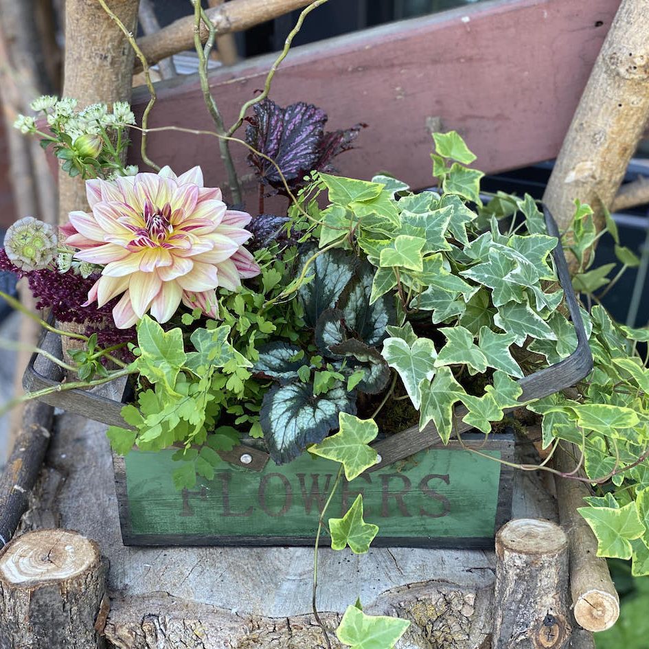 Home In Bloom Flowers & Gifts