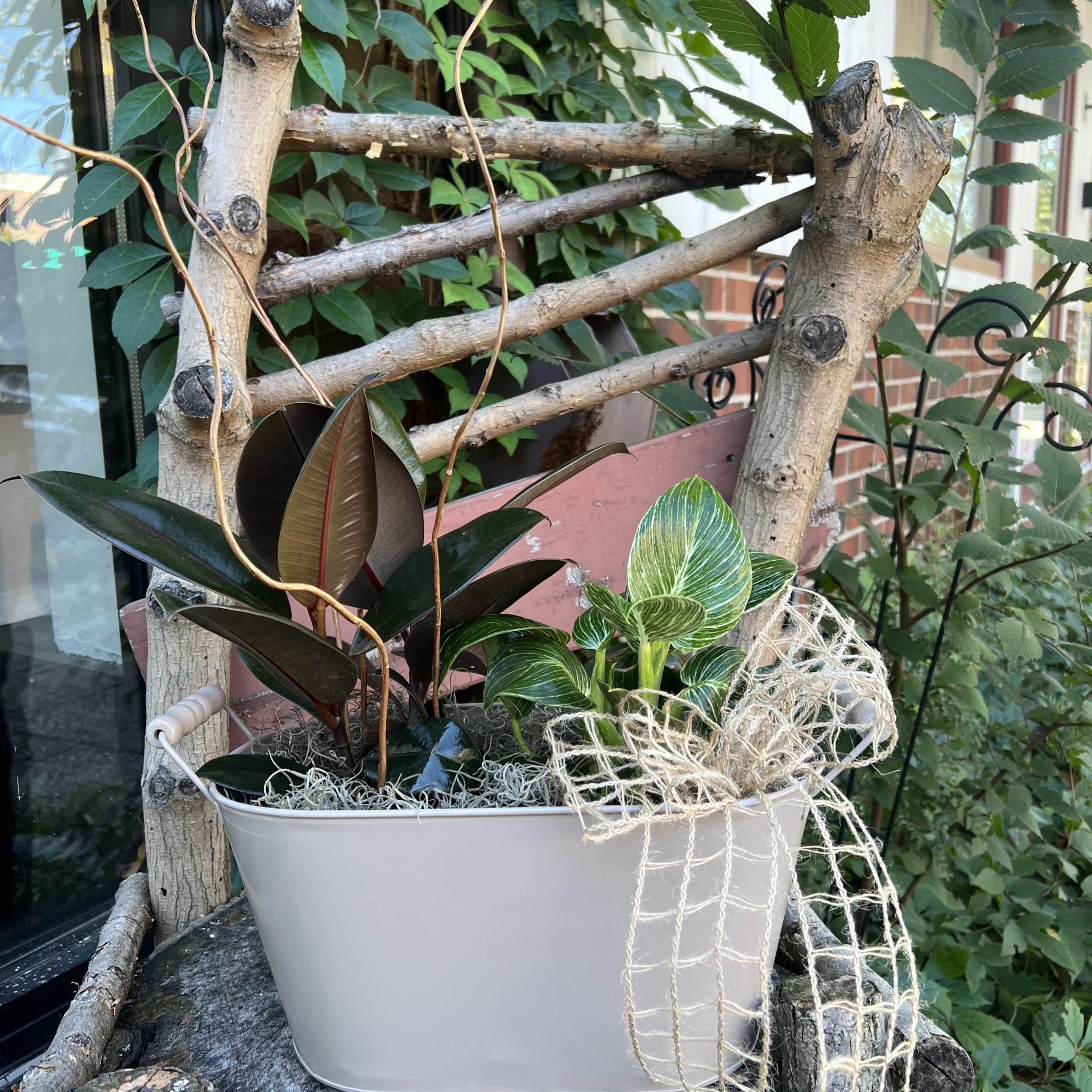 Mixed Planter