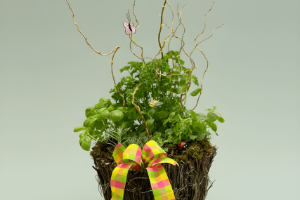 Herb Garden